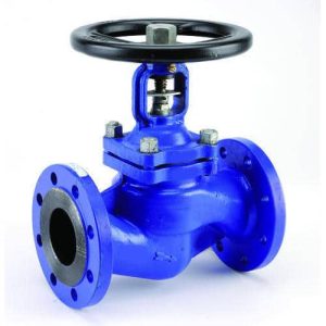 Tianjin-Cast-Iron-steam-bellow-seal-water-1